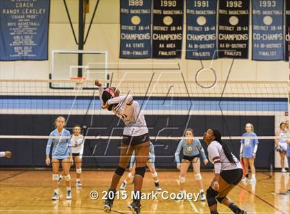 Thumbnail 3 in Cameron Yoe @ China Spring photogallery.