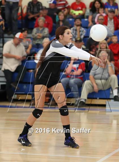 Thumbnail 3 in Otis @ Flagler photogallery.