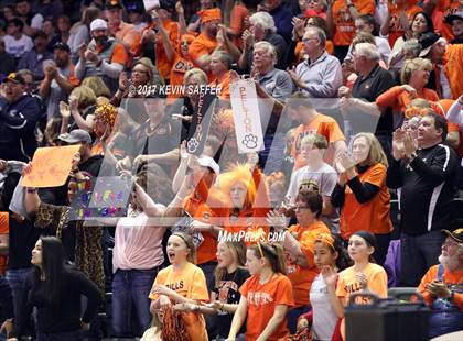 Thumbnail 2 in Holly vs. Cheyenne Wells  (CHSAA 1A Final) photogallery.