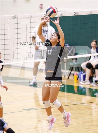 Thumbnail 3 in Layton vs. Skyline photogallery.