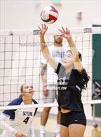 Photo from the gallery "Layton vs. Skyline"