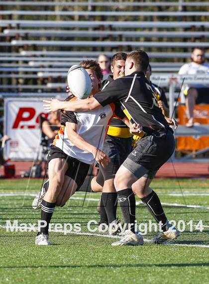 Thumbnail 3 in Amity Regional @ Ridgefield photogallery.
