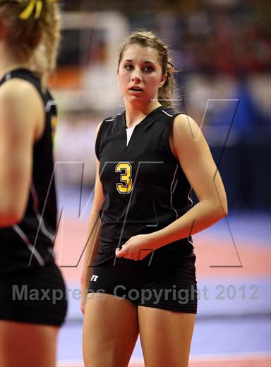 null - Photo 11
