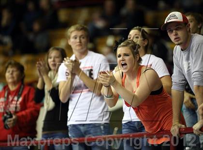 Thumbnail 1 in Caliche vs. Otis (CHSAA 1A Semifinal) photogallery.