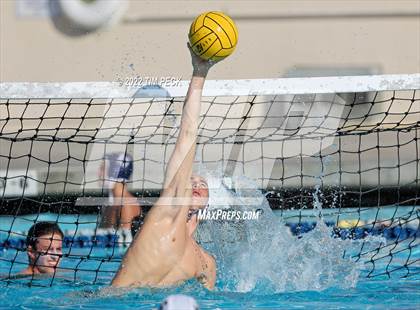 Thumbnail 3 in Newbury Park @ Yorba Linda photogallery.