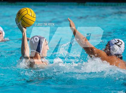 Thumbnail 1 in Newbury Park @ Yorba Linda photogallery.