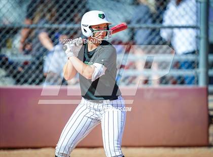 Thumbnail 3 in Basha @ Sunnyside photogallery.