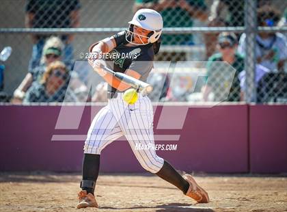 Thumbnail 2 in Basha @ Sunnyside photogallery.
