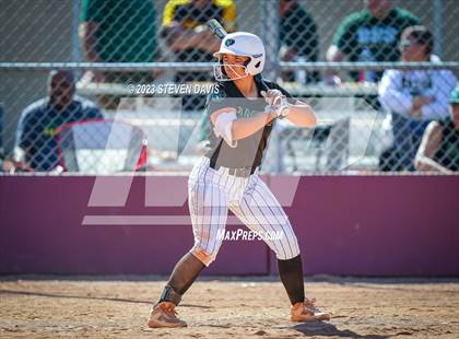 Thumbnail 2 in Basha @ Sunnyside photogallery.