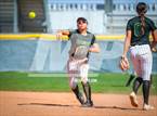 Photo from the gallery "Basha @ Sunnyside"