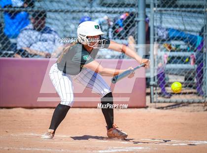 Thumbnail 2 in Basha @ Sunnyside photogallery.