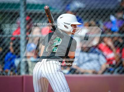 Thumbnail 1 in Basha @ Sunnyside photogallery.