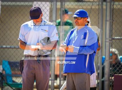 Thumbnail 1 in Basha @ Sunnyside photogallery.