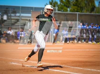 Thumbnail 3 in Basha @ Sunnyside photogallery.