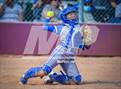Photo from the gallery "Basha @ Sunnyside"