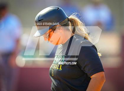 Thumbnail 3 in Basha @ Sunnyside photogallery.