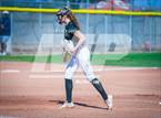 Photo from the gallery "Basha @ Sunnyside"