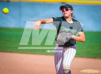 Thumbnail 1 in Basha @ Sunnyside photogallery.