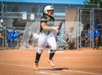 Photo from the gallery "Basha @ Sunnyside"