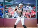 Photo from the gallery "Basha @ Sunnyside"