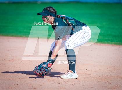 Thumbnail 1 in Basha @ Sunnyside photogallery.