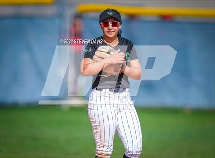 Thumbnail 1 in Basha @ Sunnyside photogallery.