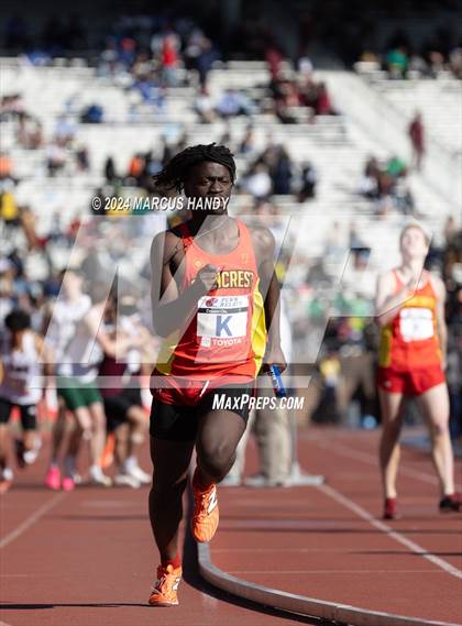 Thumbnail 2 in Penn Relays (Distance Medley) photogallery.
