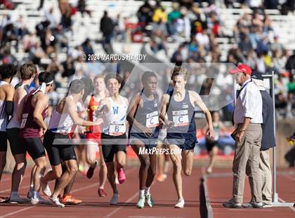 Thumbnail 1 in Penn Relays (Distance Medley) photogallery.