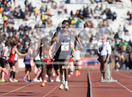 Thumbnail 2 in Penn Relays (Distance Medley) photogallery.