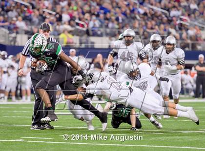 Thumbnail 2 in Carroll vs. Guyer photogallery.