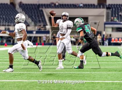 Thumbnail 2 in Carroll vs. Guyer photogallery.