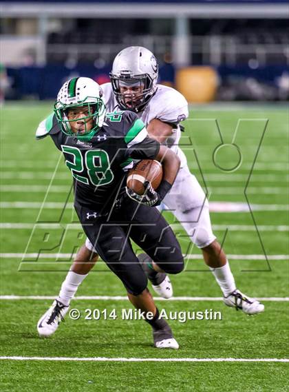 Thumbnail 3 in Carroll vs. Guyer photogallery.