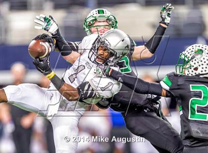 Thumbnail 1 in Carroll vs. Guyer photogallery.