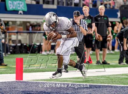 Thumbnail 1 in Carroll vs. Guyer photogallery.