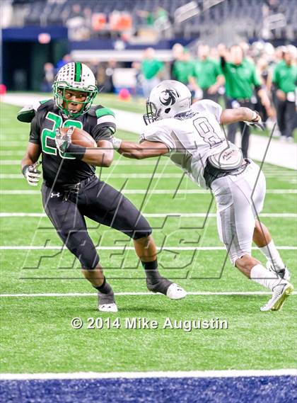 Thumbnail 1 in Carroll vs. Guyer photogallery.