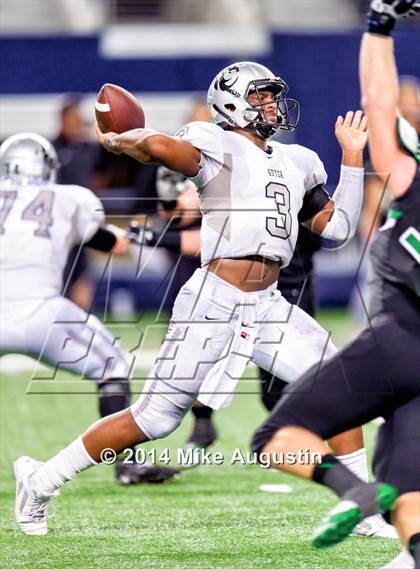 Thumbnail 1 in Carroll vs. Guyer photogallery.