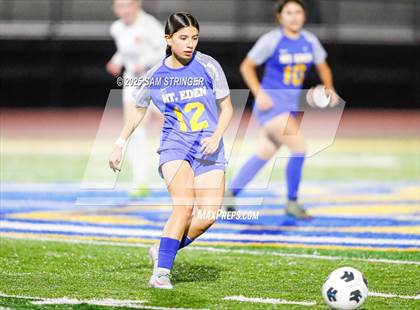 Thumbnail 2 in Kennedy @ Mt. Eden photogallery.