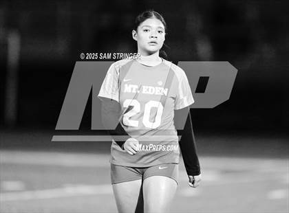 Thumbnail 2 in Kennedy @ Mt. Eden photogallery.