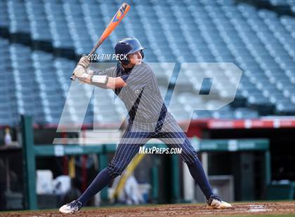 Thumbnail 2 in Newport Harbor @ Marina (HALO Classic) photogallery.