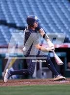 Photo from the gallery "Newport Harbor @ Marina (HALO Classic)"