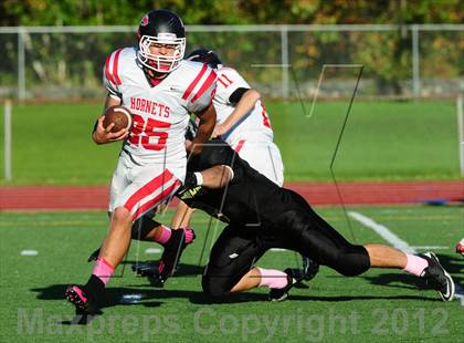Thumbnail 3 in Branford @ Law photogallery.