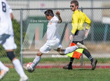 Thumbnail 3 in Douglas @ Wooster photogallery.