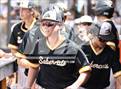 Photo from the gallery "Sahuaro @ Saguaro"