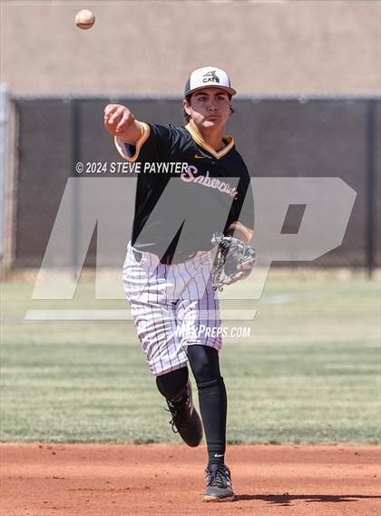 Thumbnail 1 in Sahuaro @ Saguaro photogallery.