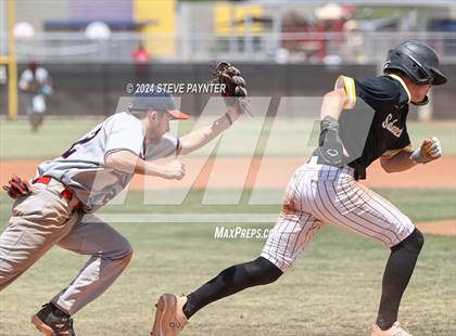 Thumbnail 2 in Sahuaro @ Saguaro photogallery.