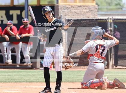 Thumbnail 1 in Sahuaro @ Saguaro photogallery.