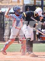 Photo from the gallery "Sahuaro @ Saguaro"