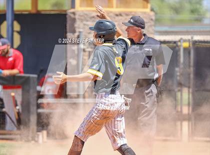 Thumbnail 2 in Sahuaro @ Saguaro photogallery.