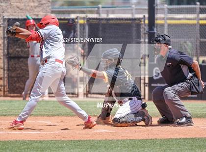 Thumbnail 2 in Sahuaro @ Saguaro photogallery.