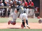 Photo from the gallery "Sahuaro @ Saguaro"